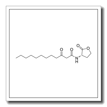 3-oxo-N-[(3S)-2-oxooxolan-3-yl]dodecanamide CAS 168982-69-2
