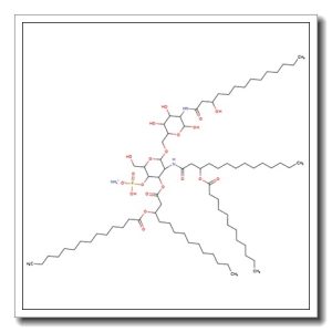 Monophosphoryl 3- deacyl lipid A ammonium