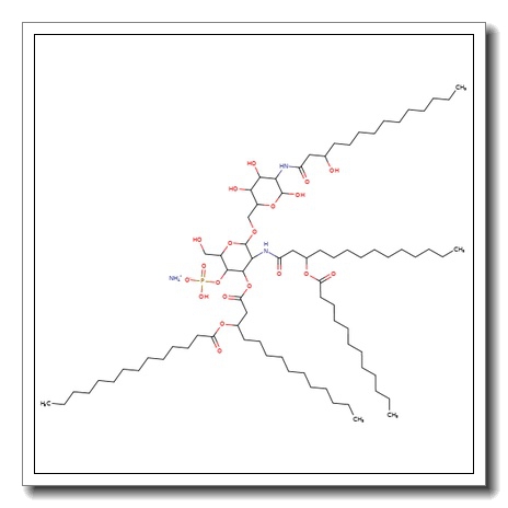 Monophosphoryl 3- deacyl lipid A ammonium