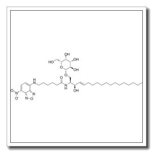 N-[(2S,3R,4E)-1-(β-D-Galactopyranosyloxy)-3-hydroxy-4-octadecen-2-yl]-6-[(7-nitro-2,1,3-benzoxadiazol-4-yl)amino]hexanamide
