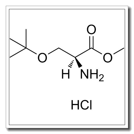 O-叔丁基-L-丝氨酸甲酯盐酸盐