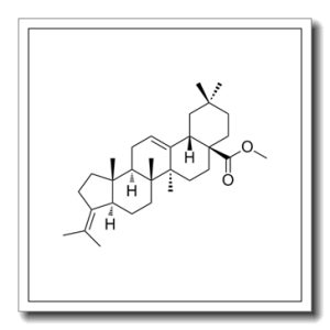 齐墩果酸衍生物1