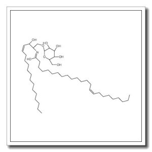 β-D-galactosyl-N-(nervonoyl)sphingosine