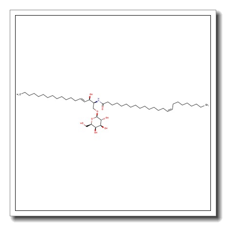 C24:1 b-D-Galactosyl ceramide