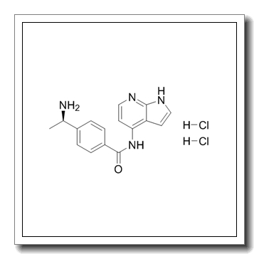 4-[(1R)-1-aminoethyl]-N-(1H-pyrrolo[2,3-b]pyridin-4-yl)benzamide,dihydrochloride CAS 173897-44-4