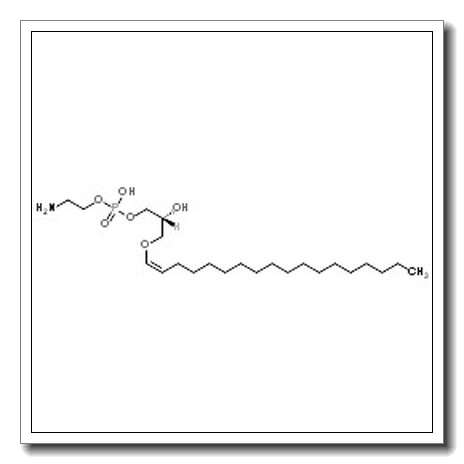1-[(1Z)-octadec-1-enyl]-sn-glycero-3-phosphoethanolamine