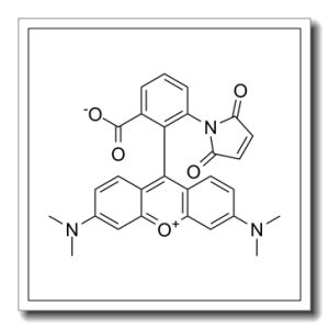 四甲基罗丹明-6-马来酰亚胺