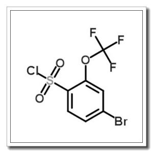 4-溴-2-三氟甲氧基苯-1-磺酰氯