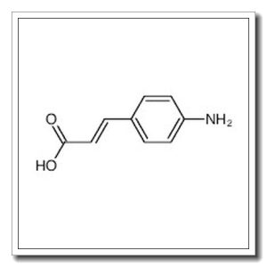 trans-p-aminocinnamic acid
