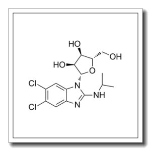 (2S,3s,4r,5s)-2-(5,6-二氯-2-(异丙基氨基)-1H-苯并[d]咪唑-1-基)-5-(羟基甲基)四氢呋喃-3,4-二醇