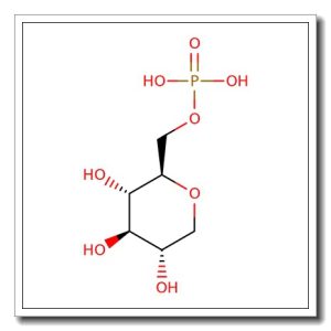 1,5-Anhydro-D-glucitol 6-dihydrogenphosphate