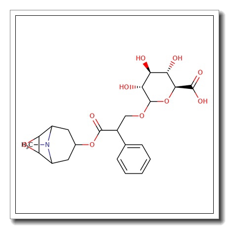 Scopolamine O-b-D-glucuronide