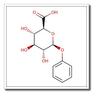 Phenyl-beta-D-glucuronic acid monohydrate