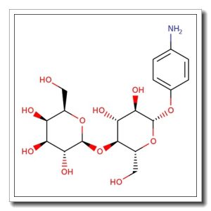 4-Aminophenyl b-D-lactopyranoside