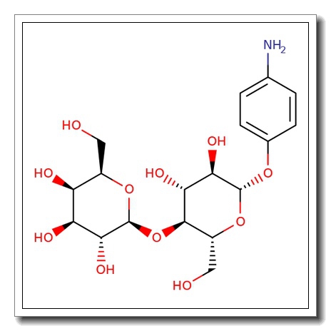 4-Aminophenyl b-D-lactopyranoside