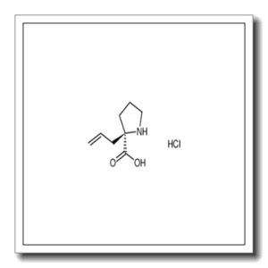 (R)-α-烯丙基脯氨酸盐酸盐