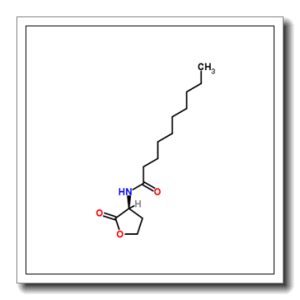 N-[(3S)-2-oxooxolan-3-yl]decanamide