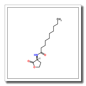 N-[(3S)-2-oxooxolan-3-yl]decanamide