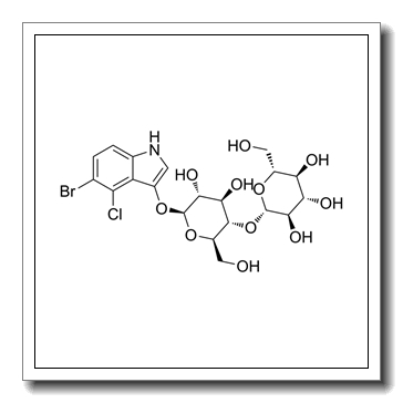 2-[6-[(5-bromo-4-chloro-1H-indol-3-yl)oxy]-4,5-dihydroxy-2-(hydroxymethyl)oxan-3-yl]oxy-6-(hydroxymethyl)oxane-3,4,5-triol CAS 177966-52-8