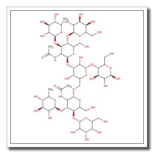 Difucosyllacto-N-tetraose