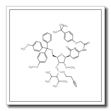 5'-O-(4,4-Dimethoxytrityl)-N-[[4-(tert-butyl)phenoxy]acetyl]-2'-O-methylcytidine-3'-(2-cyanoethyl-N,N-diisopropyl)phosphoramidite CAS 179486-26-1