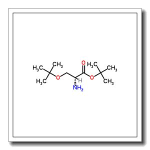 O-(叔丁基)-D-丝氨酸叔丁酯盐酸盐