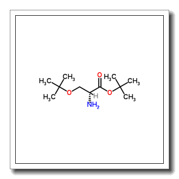tert-butyl (2R)-2-amino-3-[(2-methylpropan-2-yl)oxy]propanoate,hydrochloride CAS 179559-35-4