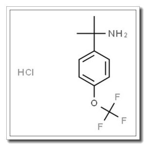 2-(4-(三氟甲氧基)苯基)丙基-2-胺盐酸盐