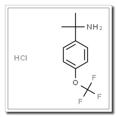 2-(4-(三氟甲氧基)苯基)丙基-2-胺盐酸盐
