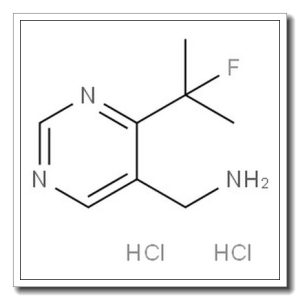 4-(2-氟-2-丙基)-5-(氨甲基)嘧啶二盐酸盐