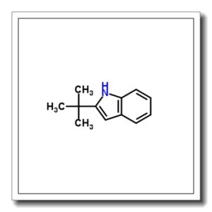 2-叔丁基-1H-吲哚
