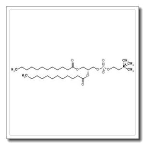 1,2-二十二酰基-sn-glycero-3-胆碱磷酸