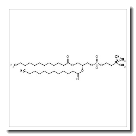 1,2-二十二酰基-sn-glycero-3-胆碱磷酸