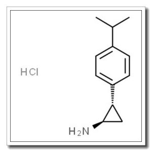 反式-2-(4-异丙基苯基)环丙-1-胺盐酸盐