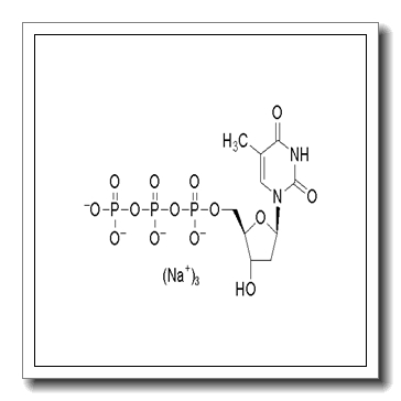 Thymidine 5'-Triphosphate Sodium Salt CAS 18423-43-3