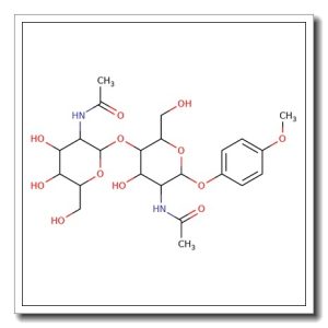 4-Methoxyphenyl 4-O-(2-acetamido-2-deoxy-b-D-galactopyranosyl)-2-acetamido-2-deoxy-b-D-glucopyranoside