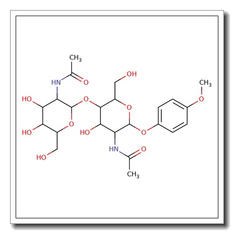 4-Methoxyphenyl 4-O-(2-acetamido-2-deoxy-b-D-galactopyranosyl)-2-acetamido-2-deoxy-b-D-glucopyranoside CAS 1858224-01-7
