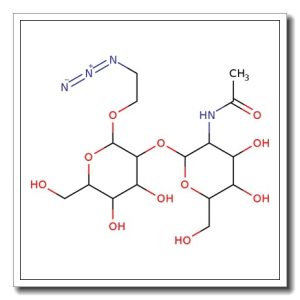Glcnacβ(1-2)man-α-ethylazide