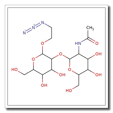 Glcnacβ(1-2)man-α-ethylazide