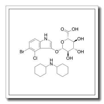 5-Bromo-4-chloro-3-indolyl-β-D-glucuronide cyclohexylammonium salt CAS 18656-96-7