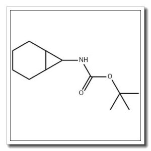 双环[4.1.0]庚基-7-氨基甲酸叔丁酯