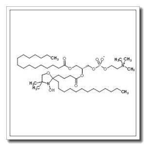 (2R)-2-{[4-(3-Hydroxy-4,4-dimethyl-2-tridecyl-1,3-oxazolidin-2-yl)butanoyl]oxy}-3-(palmitoyloxy)propyl 2-(trimethylammonio)ethyl phosphate