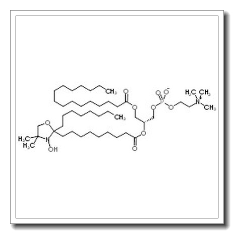(2R)-2-{[9-(3-Hydroxy-4,4-dimethyl-2-octyl-1,3-oxazolidin-2-yl)nonanoyl]oxy}-3-(palmitoyloxy)propyl 2-(trimethylammonio)ethyl phosphate CAS 188004-25-3 