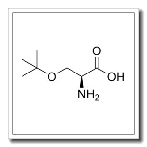 O-叔丁基-L-丝氨酸