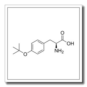 O-叔丁基-L-酪氨酸