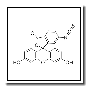 6-荧光素异硫氰酸酯