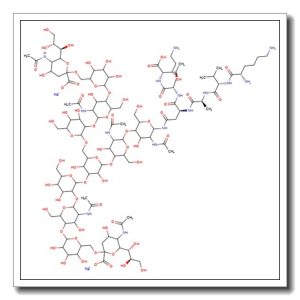 Sialylglycopeptide