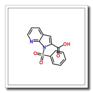1-苯磺酰基-1H-吡咯并[2,3-b]吡啶-2-羧酸
