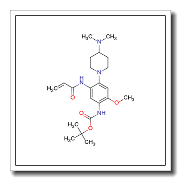 tert-butyl N-[4-[4-(dimethylamino)piperidin-1-yl]-2-methoxy-5-(prop-2-enoylamino)phenyl]carbamate CAS 1894234-36-6