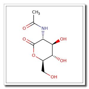 2-Acetamido-2-deoxy-D-glucono-1,5-lactone